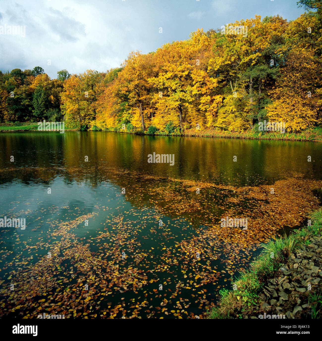 Herbstlich bunte Laubb?ume s?umen idyllischen Waldsee Stock Photo