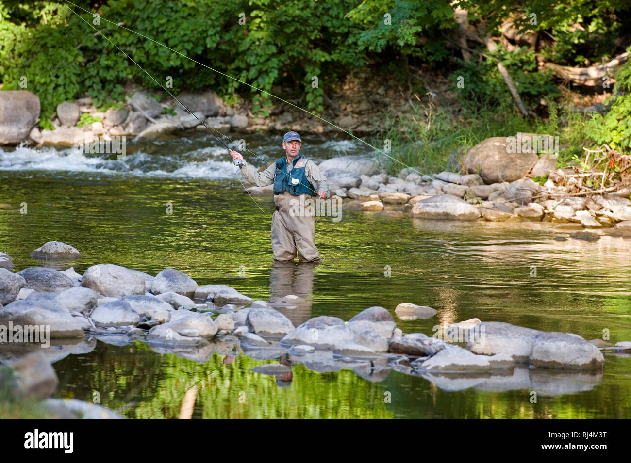 man fly fishing in river, North America, Canada, Ontario Stock Photo