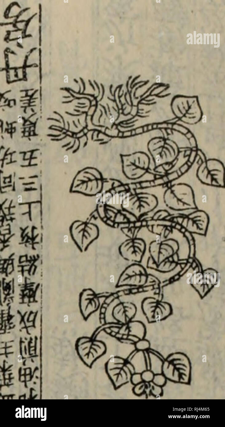 Chong Xiu Zhen He Jin Shi Zheng Lei Bei Yong Cao Yao Ea Ae Ac A E C A C Ae E Herb Us Sna I I I Iif S Im A 3 Ea M Amp S Hi Glgh A I I Ii Y R N Chong Xiu Zhen He Jin Shi Zheng Lei Bei Yong Cao Yao Ea Ae Ac A E C A C Ae E Herb Us Sna I I I Iif S Im A 3 Ea M Amp S Hi Glgh A I I Ii Y R N