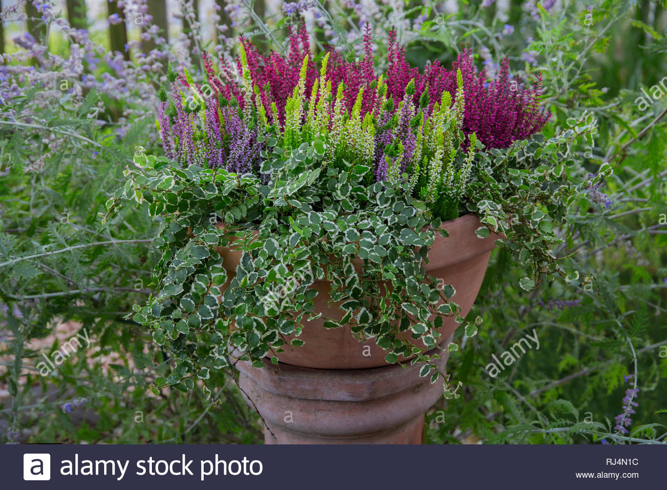 Kalendermotiv Stock Photos Kalendermotiv Stock Images Page 3