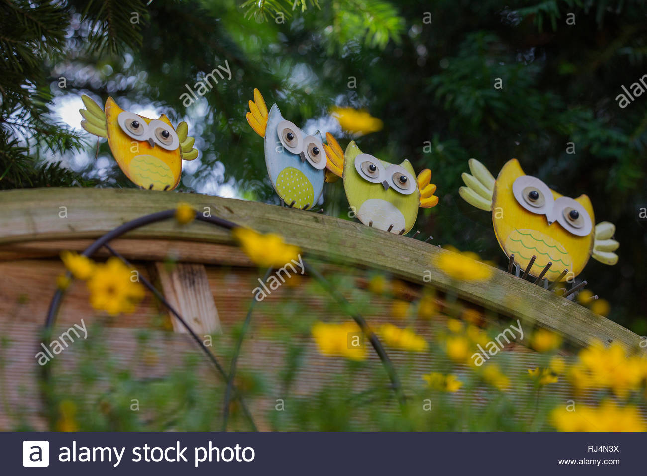 Blecheulen Sitzen Auf Holzbogen Im Garten Stock Photo 234902974