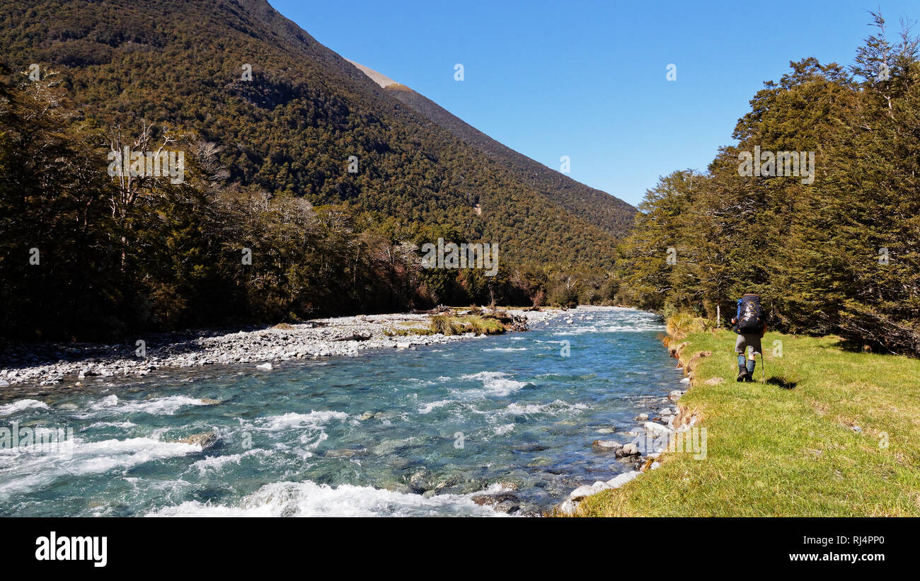 A man with backpack hiking in New Zealand beside the Travers River in Nelson Lakes National Park, New Zealand. Stock Photo