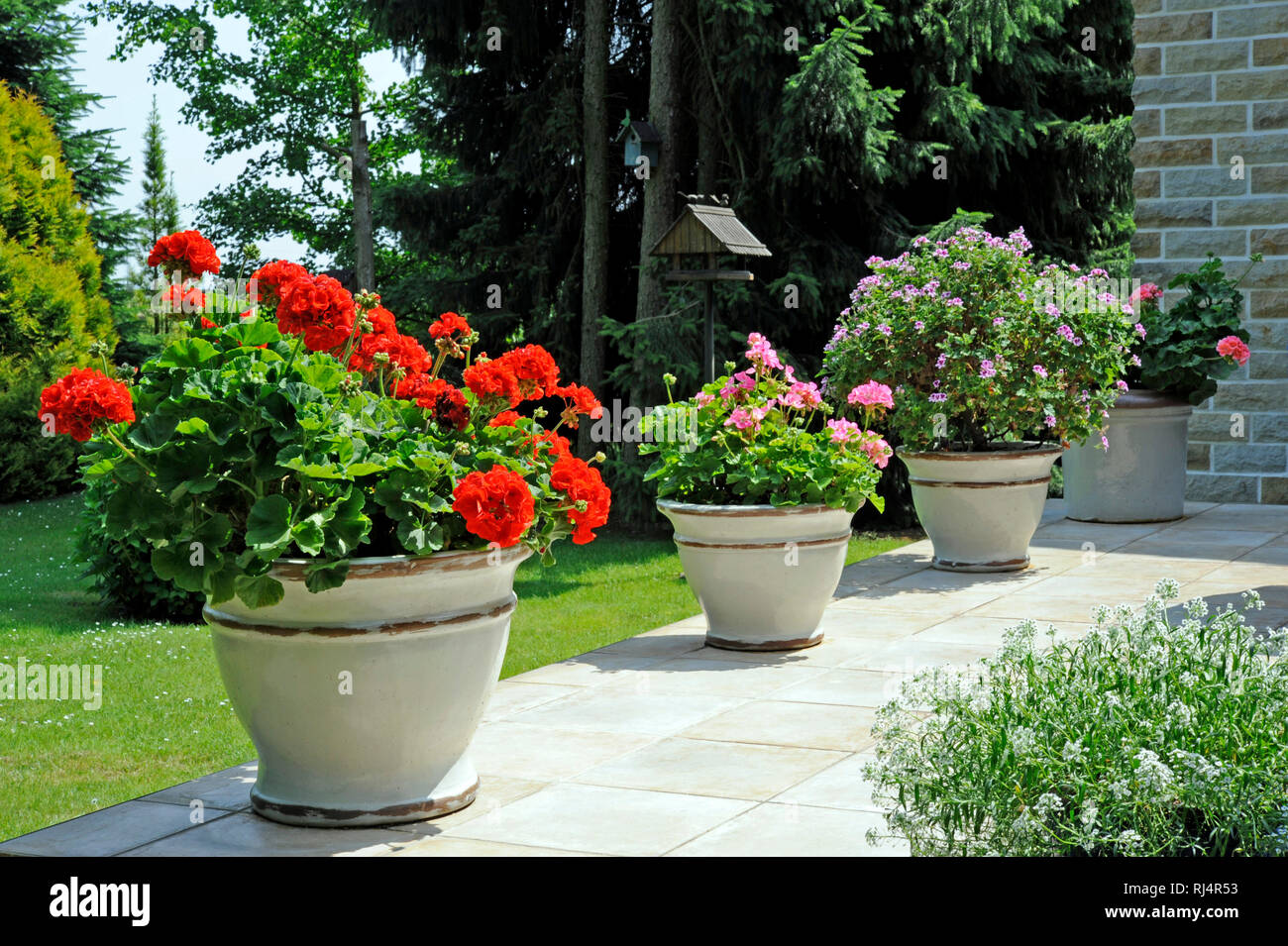 Gartenterrasse mit Topfpflanzen in italienischen Designerkeramik, Stock Photo