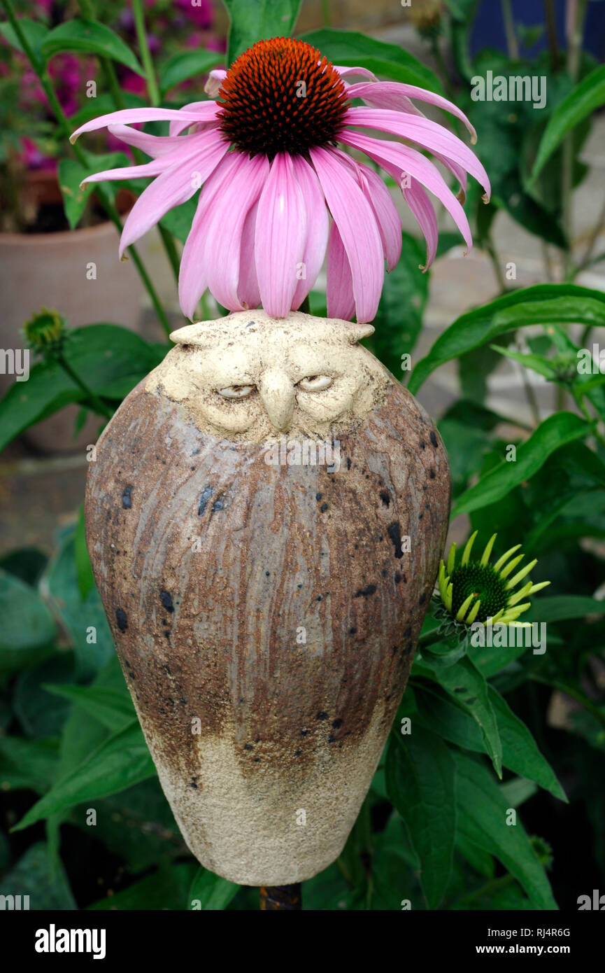 Purpursonnenhut, auch Rudbeckia oder Rubinstern, Keramik-Eule als Garten-Accessoire, Stock Photo