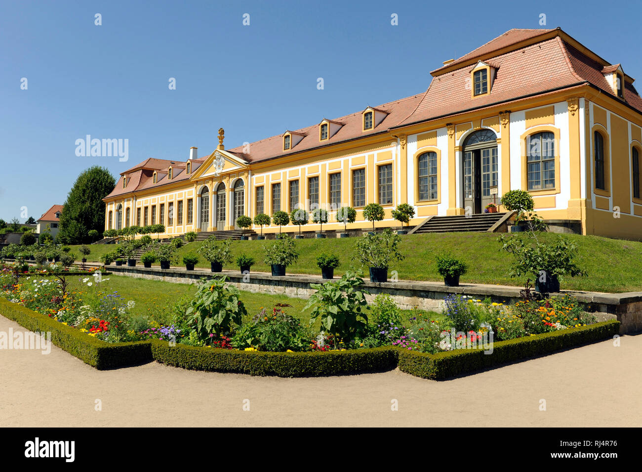 Obere Orangerie im Barockgarten Gro?sedlitz mit Orangenb?umchen als K?belpflanzen und bunter Rabattenbepflanzung, Stock Photo
