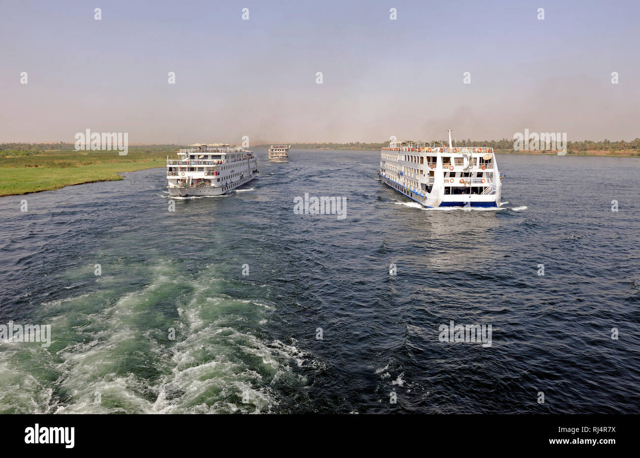 Kreuzfahrtschiffe mit Urlaubern auf dem Nil in ?gypten, Stock Photo