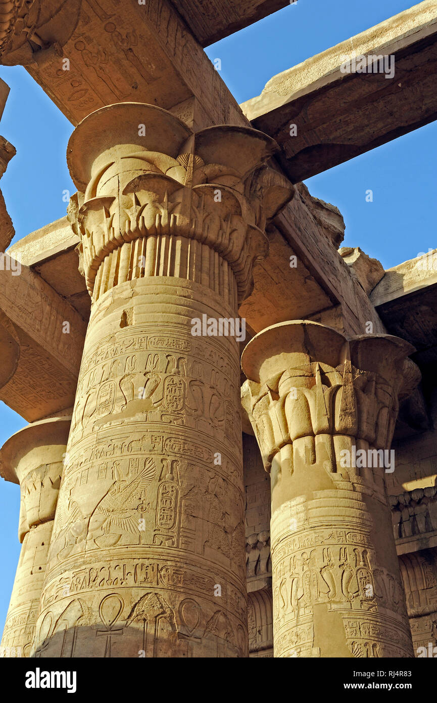 Hieroglyphen auf den S?ulen der Vorhalle im Tempel von Kom Ombo am Nilufer in ?gypten, Stock Photo