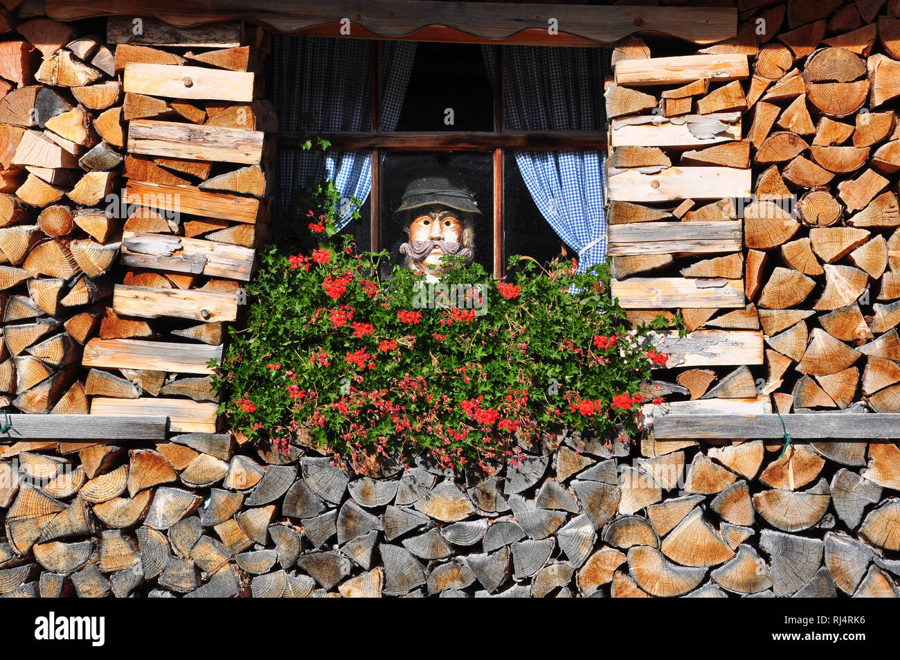 Landidyll, Blumenfenster, Holzscheite, Holzlarve Stock Photo