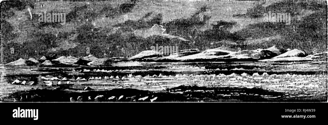 . Viajes al Polo Norte por el Capitán Nares con los buques de la marina real britanica el &quot;Alert&quot; y el &quot;Discovery&quot; (1875-1876) y por le Doctor Nordenskiold on el &quot;Vega&quot; (1879-1880) [microform]. Alert (Ship); Discovery (Ship); Alerte (Navire); Discovery (Navire); Natural history; Sciences naturelles. 132 VIAJES AL POLO NORTE, correr los espacios vacíos de que hablamos antes, bajo la bóveda endurecida, donde la temperatura no suelo bajar íi un punto in- ferior A—18°; sus nidos deben sor mucho más cálidos; los he buscado largo tiempo, observando que no se encuentran  Stock Photo