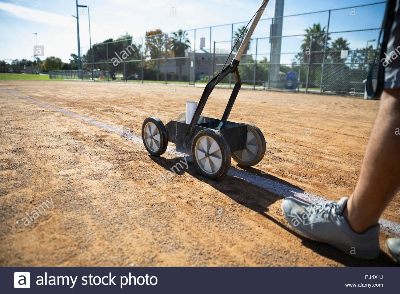 Man lining sunny baseball field Stock Photo Alamy
