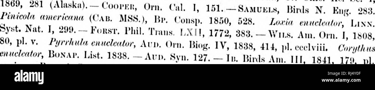 . A history of North American birds [microform] : land birds. Birds; Ornithology; Oiseaux; Ornithologie. KKIXUILLID.E — THE FINCHES. 453 Pinicola enucleator, cahams. THE PINE GROSBEAK. Cvcco/hnuis/i' ./»•„»*,, „,„mfc„,s/,s |lK..ss.,N, On,. Ill, U,iO, ,&gt;nO, ,,1. xii, f. 3. &quot;Conif/u,. no,.,!a,s-l,, l.ia-.HM, „g..l nriltsrhl«„,ls&quot;(lS31 /). /'/««„/» w,„„/,,,.s/.v, Cauams, Mus U'in lx',1. «cix. -15''N. &amp; Scn,.K.iic.„ Mo„, ,K.s I.uxi.ns, ]S;;o. !., ,.1. ix, xi, xii. --1),.:,„,ax,: &amp; (.KUMK, Orn. Kur,.,,. I, -^hS. /v»/,W„ e»»&lt;Vm^«,. t'AiiAMs, Mus. Ilci,.. I, ]8r,l, 107. Sp.C Stock Photo