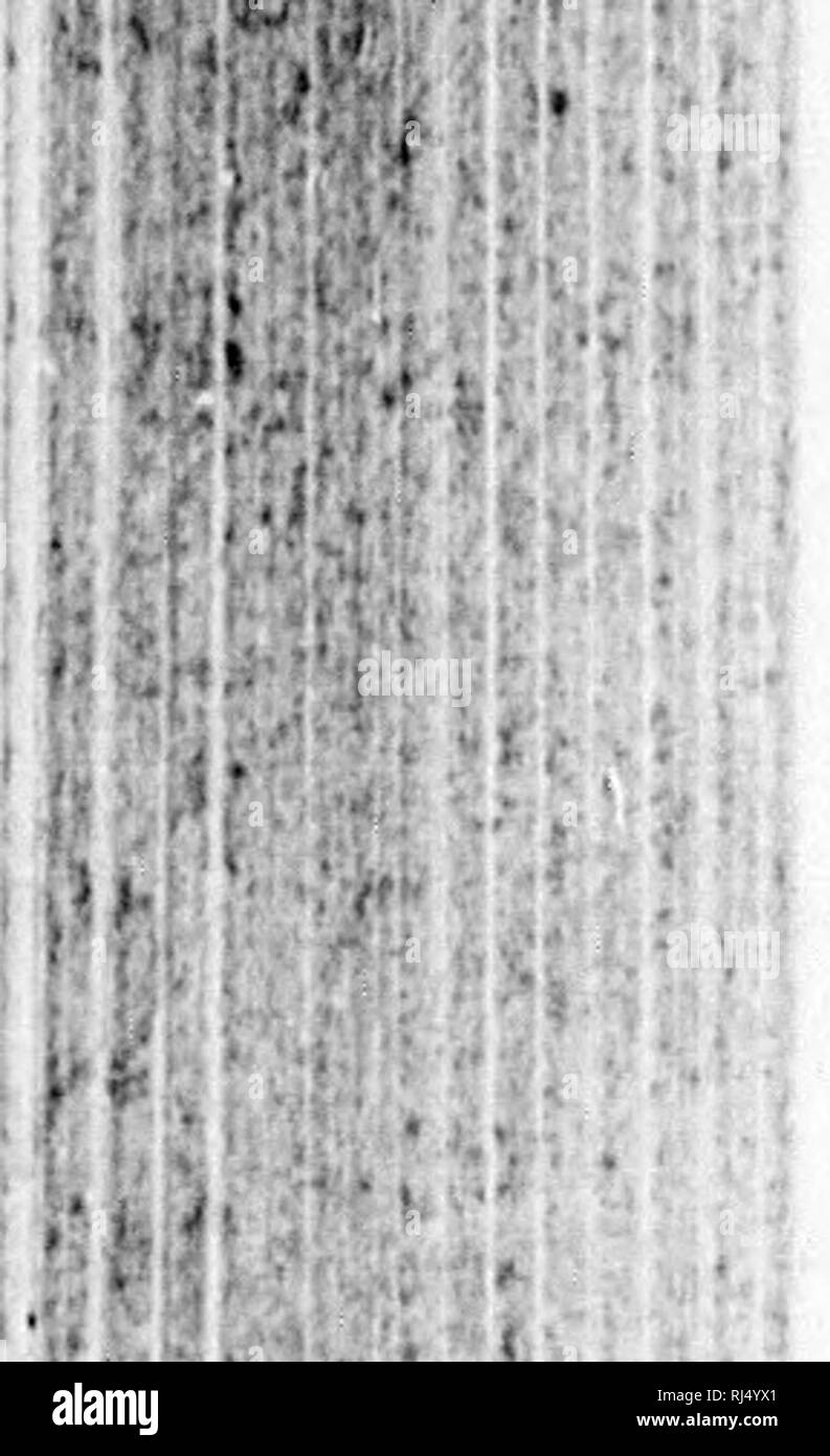 Page 10 L R Hon High Resolution Stock Photography And Images Alamy