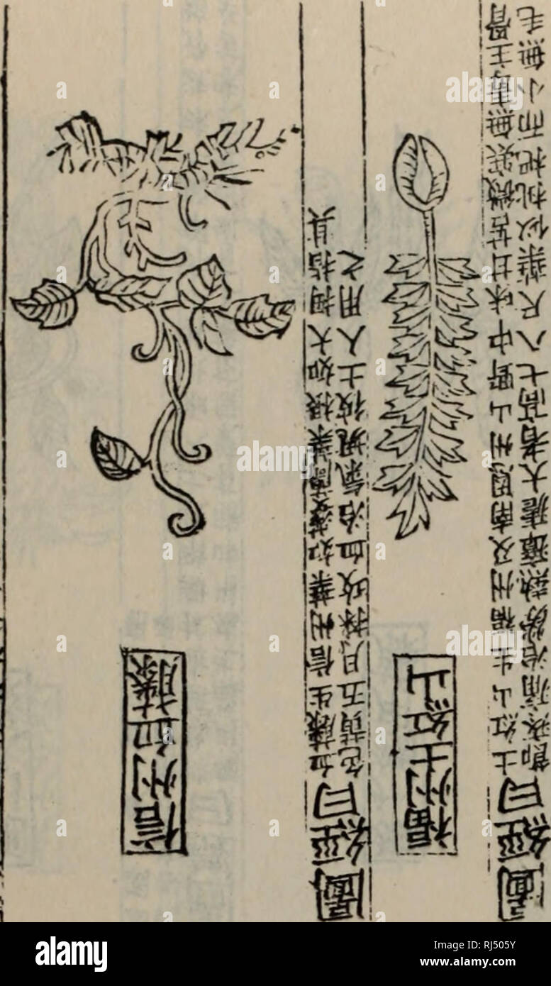 Page 2 Ae E High Resolution Stock Photography And Images Alamy