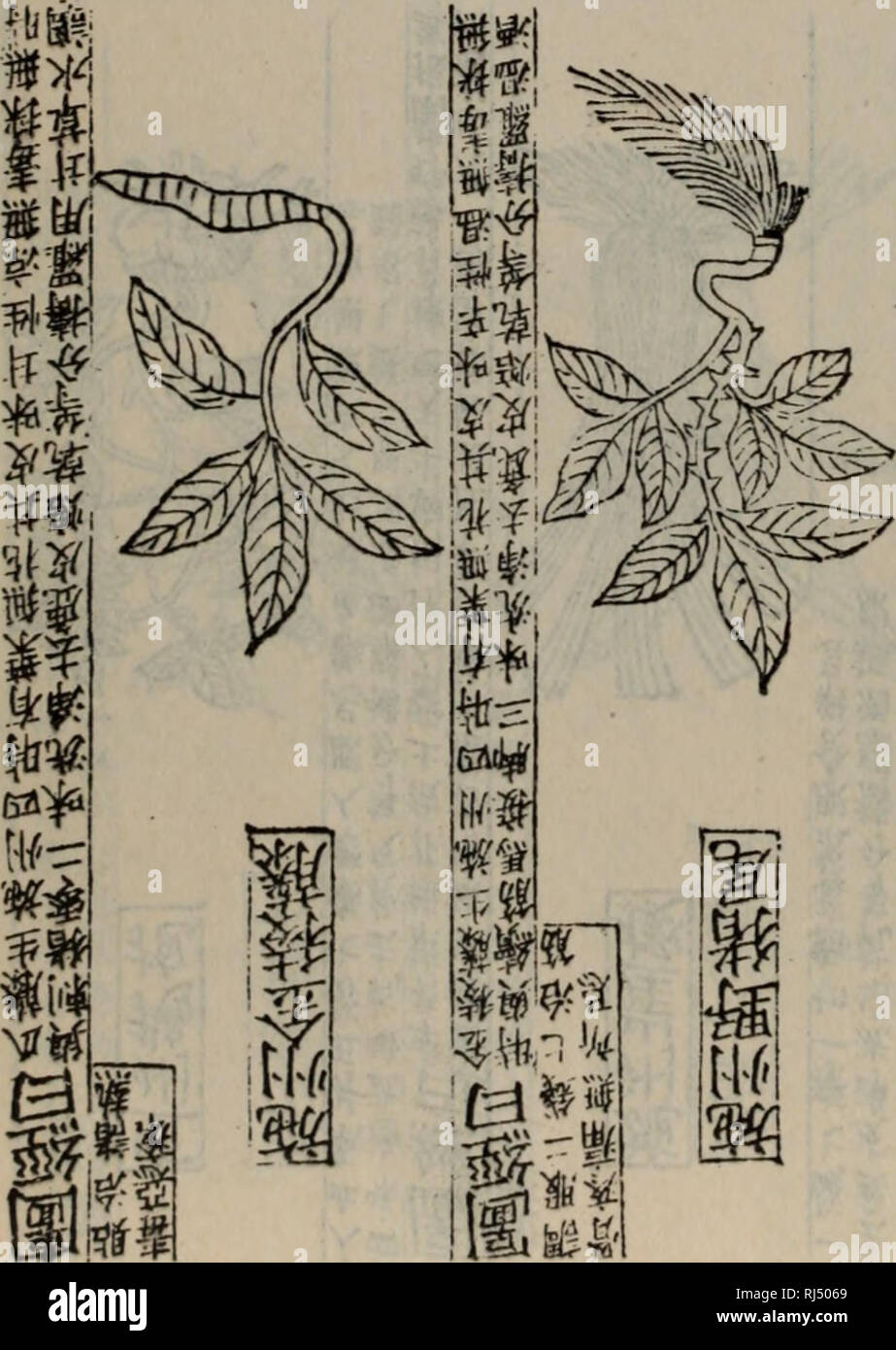 Page 2 Ae E High Resolution Stock Photography And Images Alamy