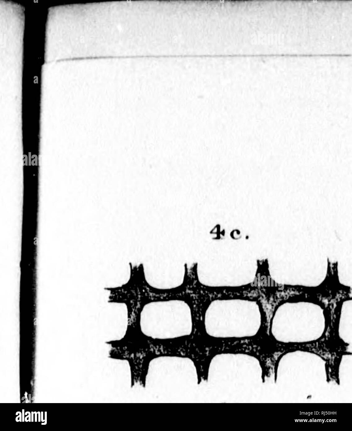 Vol xxxv Black and White Stock Photos & Images - Alamy