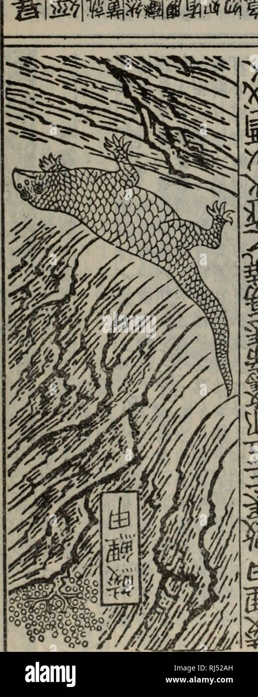 . chong xiu zhen he jin shi zheng lei bei yong cao yao éä¿®æ¿åç»å²è¯ç±»å¤ç¨æ¬è. herb. lit i. ,,;. ,.ï¼ï¼ï¼I, - I i-iiw^ll. 44s â ï¼ IJçºç¸£ï¼èï¼fe^ç 7. Saä¸è ºå°8* äº-HIæ´ ^-ii^^^^^^m. Please note that these images are extracted from scanned page images that may have been digitally enhanced for readability - coloration and appearance of these illustrations may not perfectly resemble the original work.. äººæ°å«çåºçç¤¾ Stock Photo
