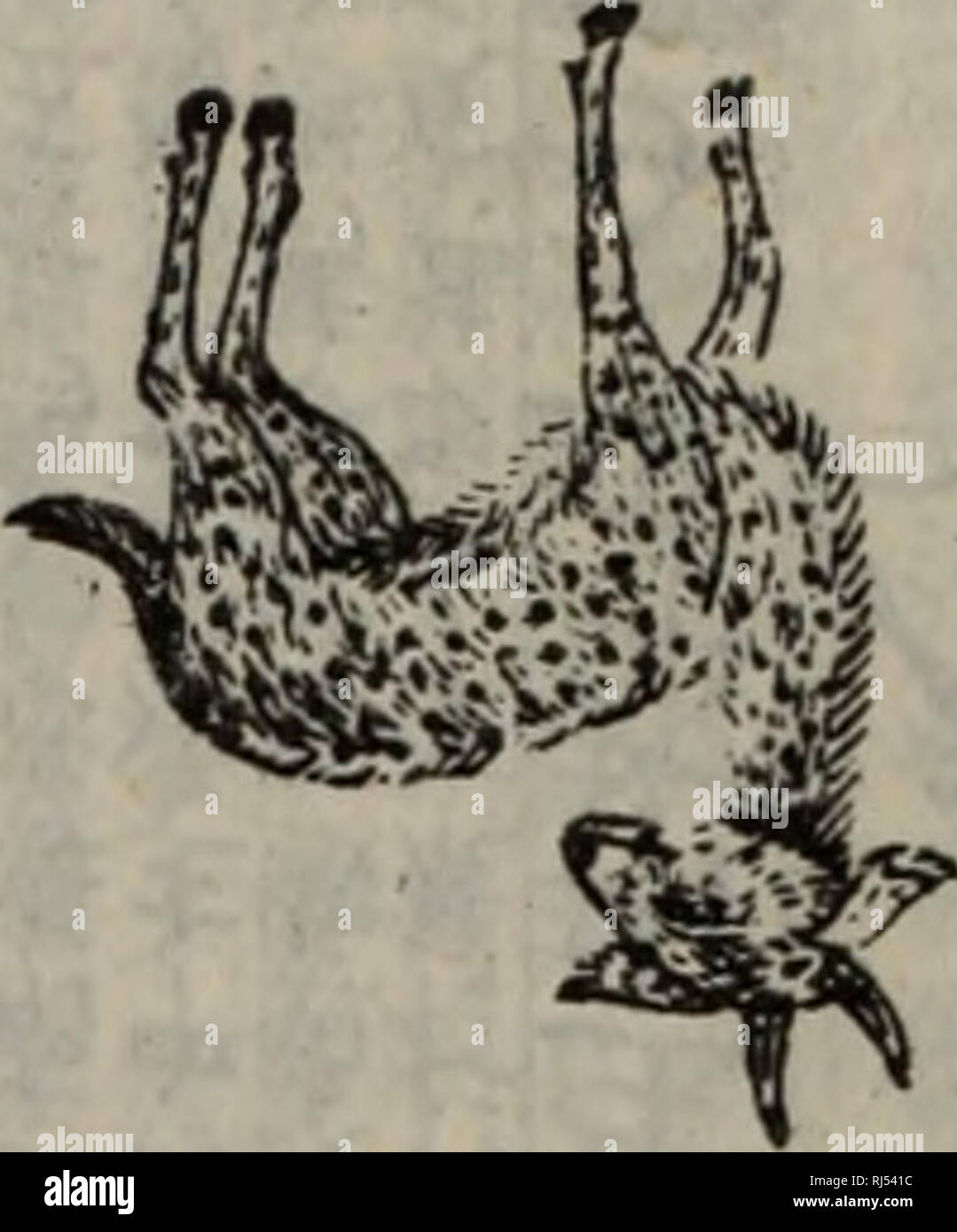 Page 8 Li Shi High Resolution Stock Photography And Images Alamy