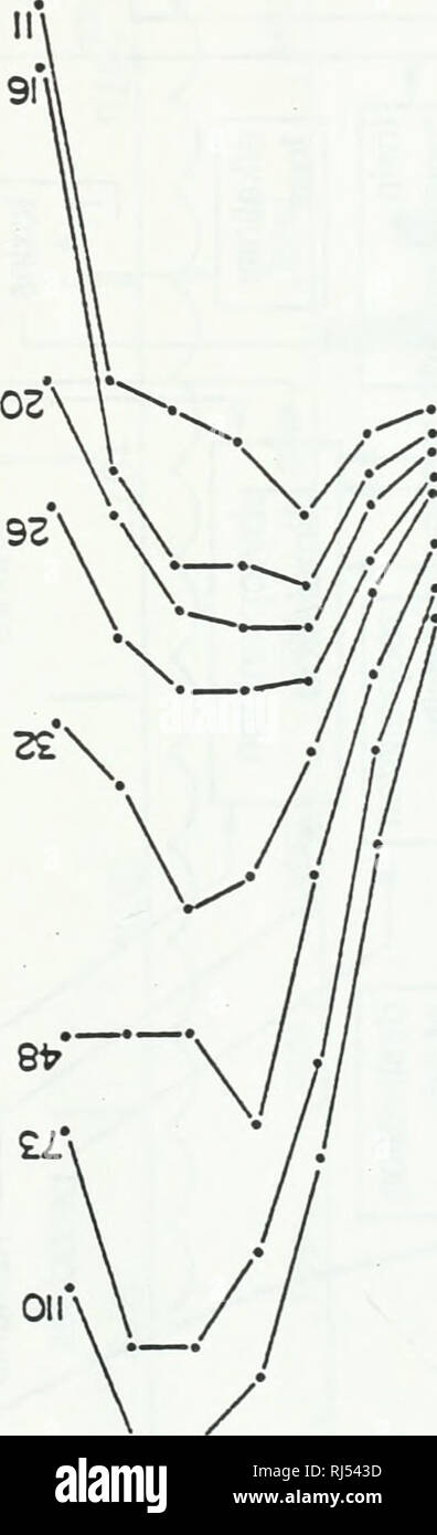 Chrysophyceae High Resolution Stock Photography And Images Alamy