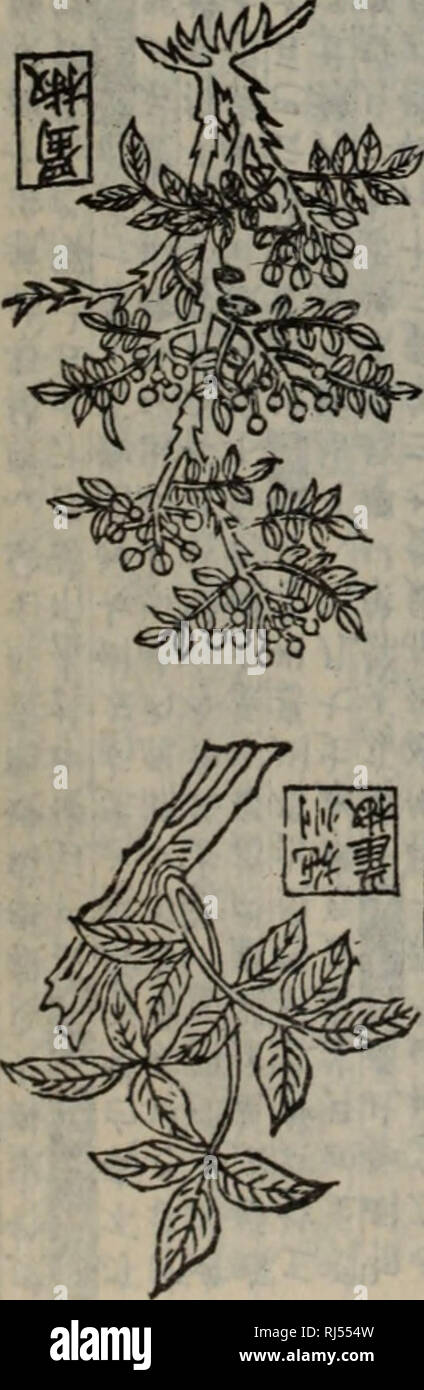 Page 8 Uv L High Resolution Stock Photography And Images Alamy