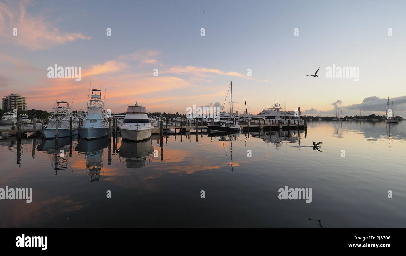 Sunrise over Dinner Key Marina in Coconut Grove, Miami, Florida. Stock Photo