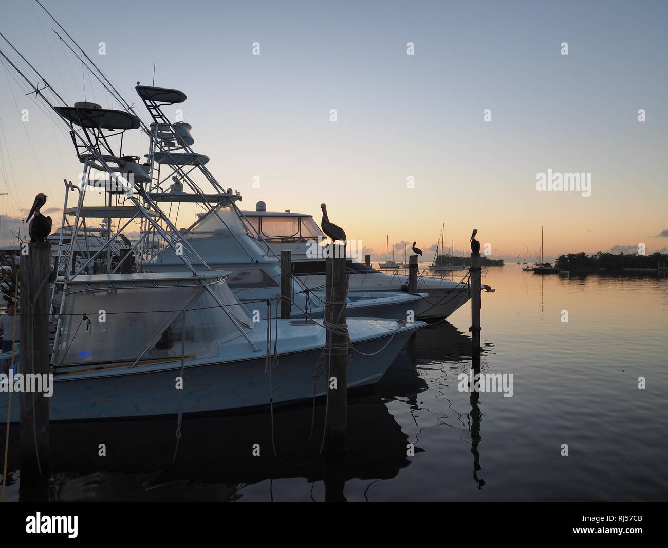 Sunrise over Dinner Key Marina in Coconut Grove, Miami, Florida. Stock Photo
