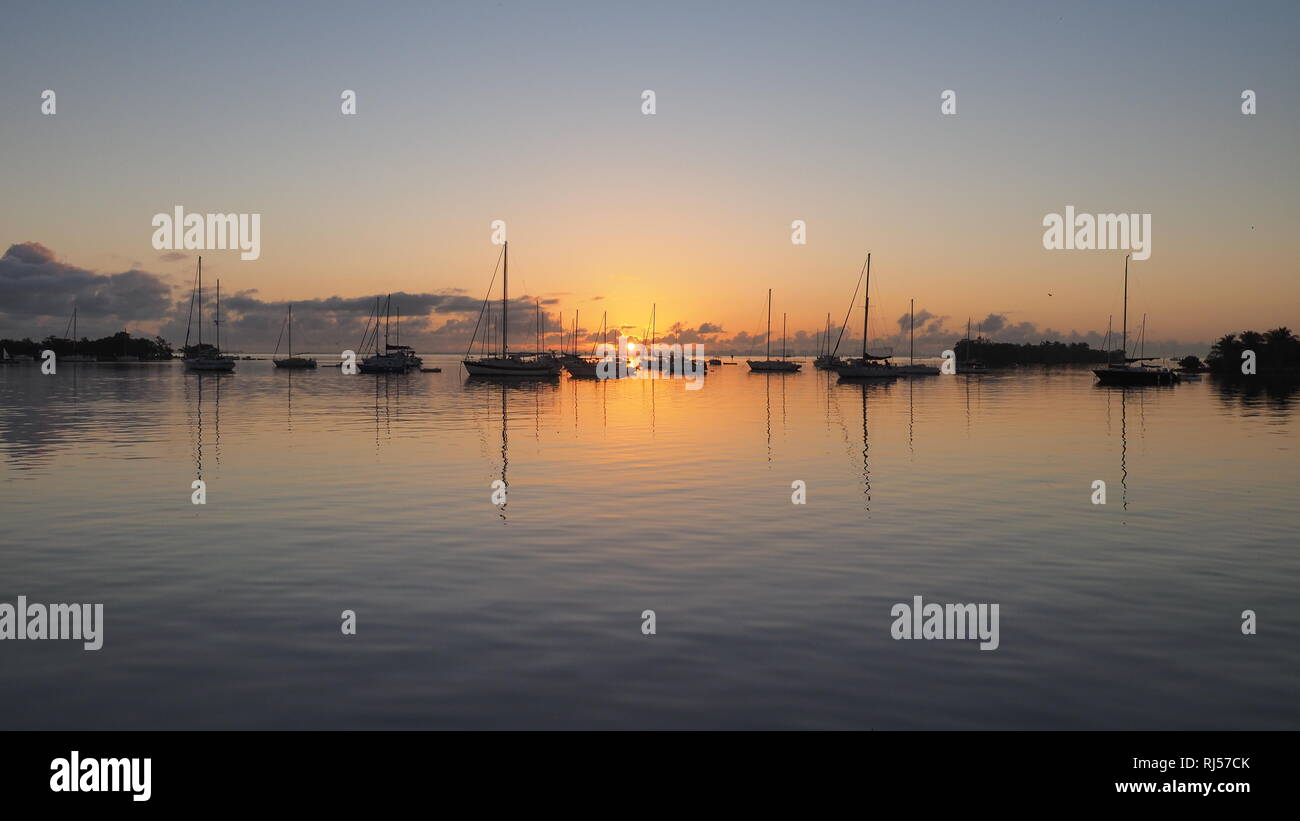 Sunrise over Dinner Key Marina in Coconut Grove, Miami, Florida. Stock Photo