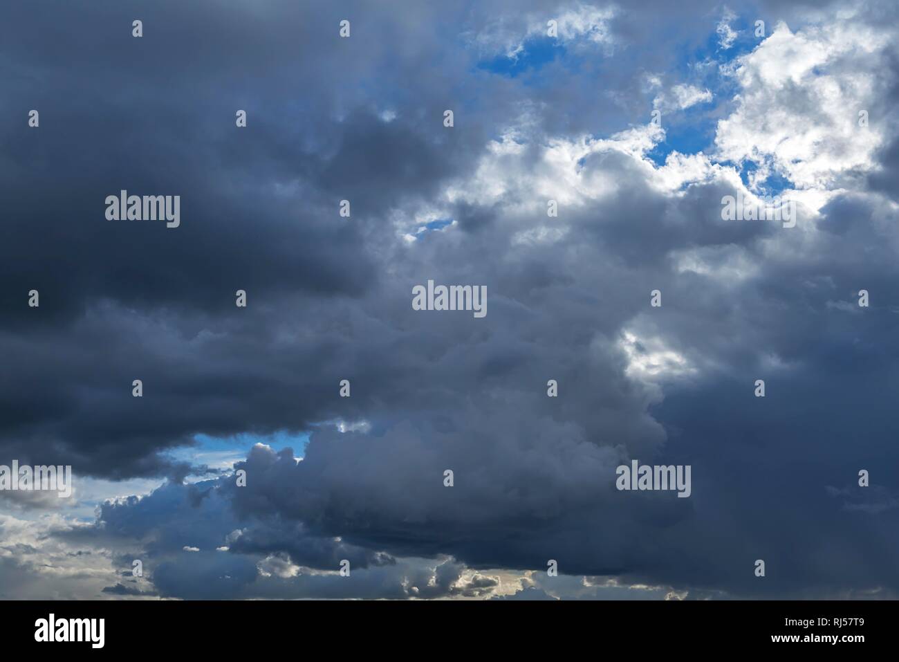 Rain clouds (Nimbostratus), Netherlands Stock Photo