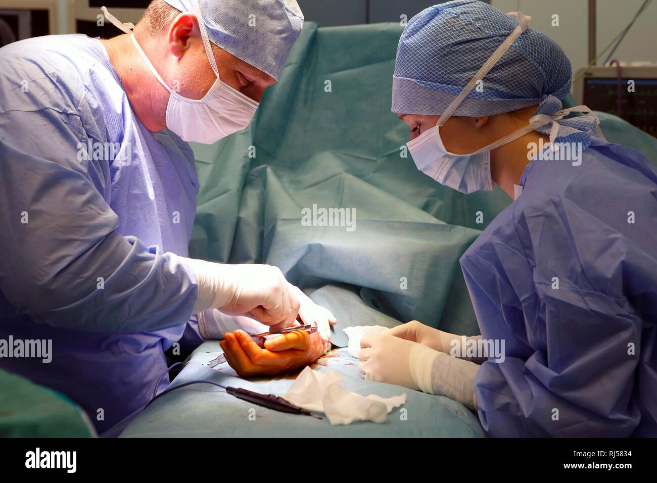 Surgeons during surgery in the operating theatre, hand surgery, Czech Republic Stock Photo