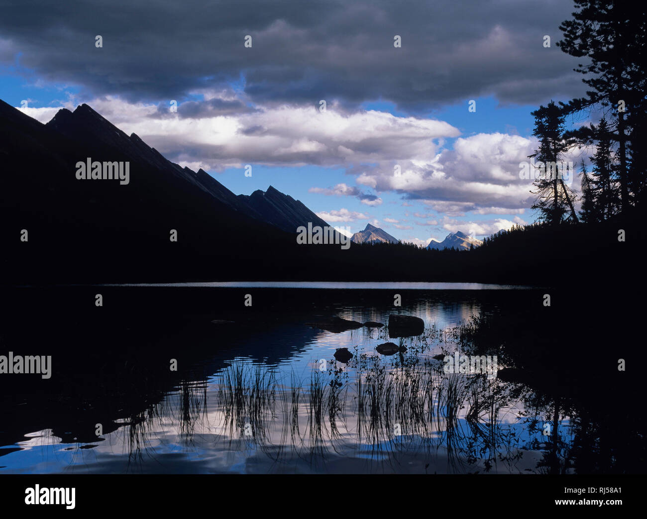 Honeymoon Lake, Jasper Nationalpark Stock Photo