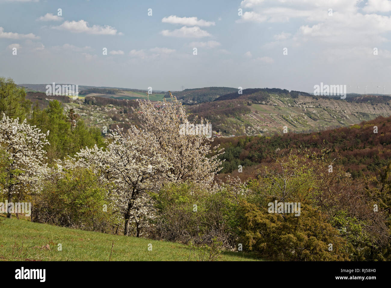 Landschaft im naturschutzgebiet rammersberg bei karlstadt hires stock