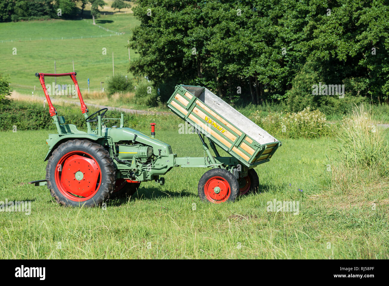  Dieselross f 231 gts hi-res stock photography and images - Alamy 