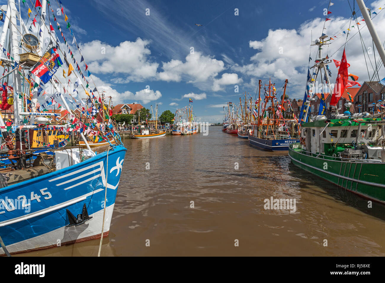 Kutterregatta, Krabbenkutter geschm?ckt mit F?hnchen und Wimpel im Hafen von Neuharlingersiel, Ostfriesland, Stock Photo