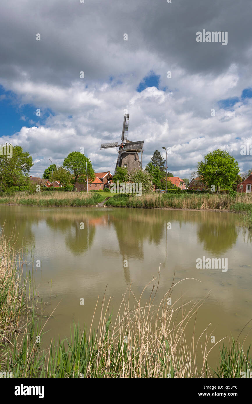 Teich, Windm?hle MitlingMark, MitlingMark, Westoverledingen