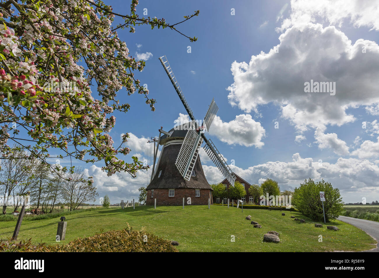 Windm?hle in Berdum, Ostfriesland Stock Photo - Alamy