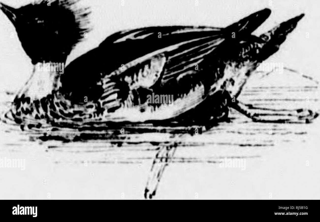 Page 13 Iui High Resolution Stock Photography And Images Alamy