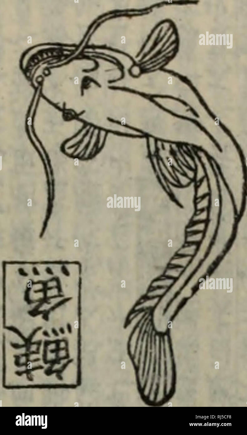 Chong Xiu Zhen He Jin Shi Zheng Lei Bei Yong Cao Yao Ea Ae Ac A E C A C Ae E Herb T Wa Hi E Aº C Iysk Ja C Ae 1 C I 3 E I L Tos J 1 I I Fcs A Tor F Tffr Ttisttil R Iis Vh C