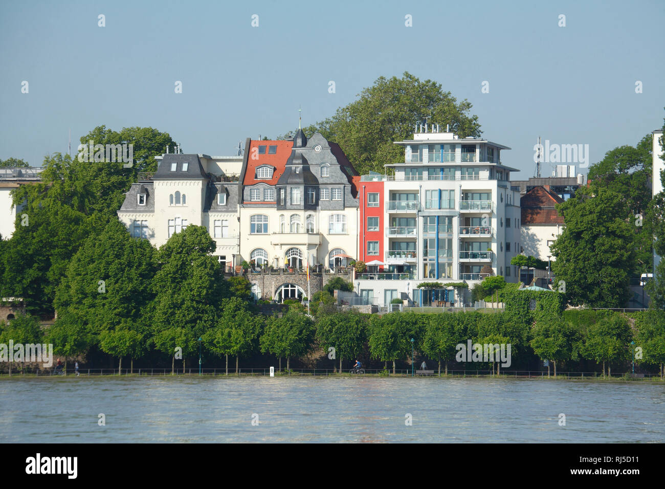 Alte und Moderne Häuser, Rheinufer, Rhein, Bonn, Nordrhein-Westfalen, Deutschland, Europa Stock Photo
