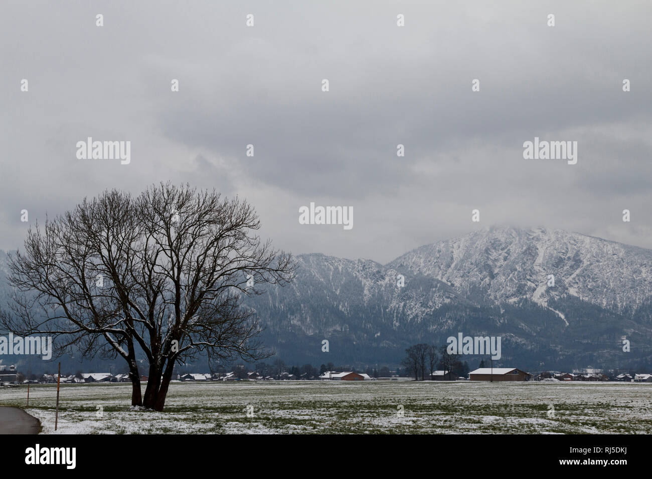 Bergpanorama in Bayern mit Blick auf die Alpen, bew?lkt, winterlich kaltes Szenario, menschenleer, Stock Photo