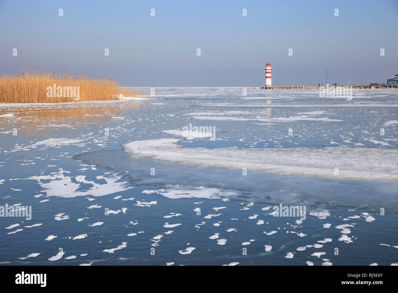 zugefrorener Neusiedler See, Schilf und Leuchtturm bei Podersdorf am See, Burgenland, Österreich, Stock Photo