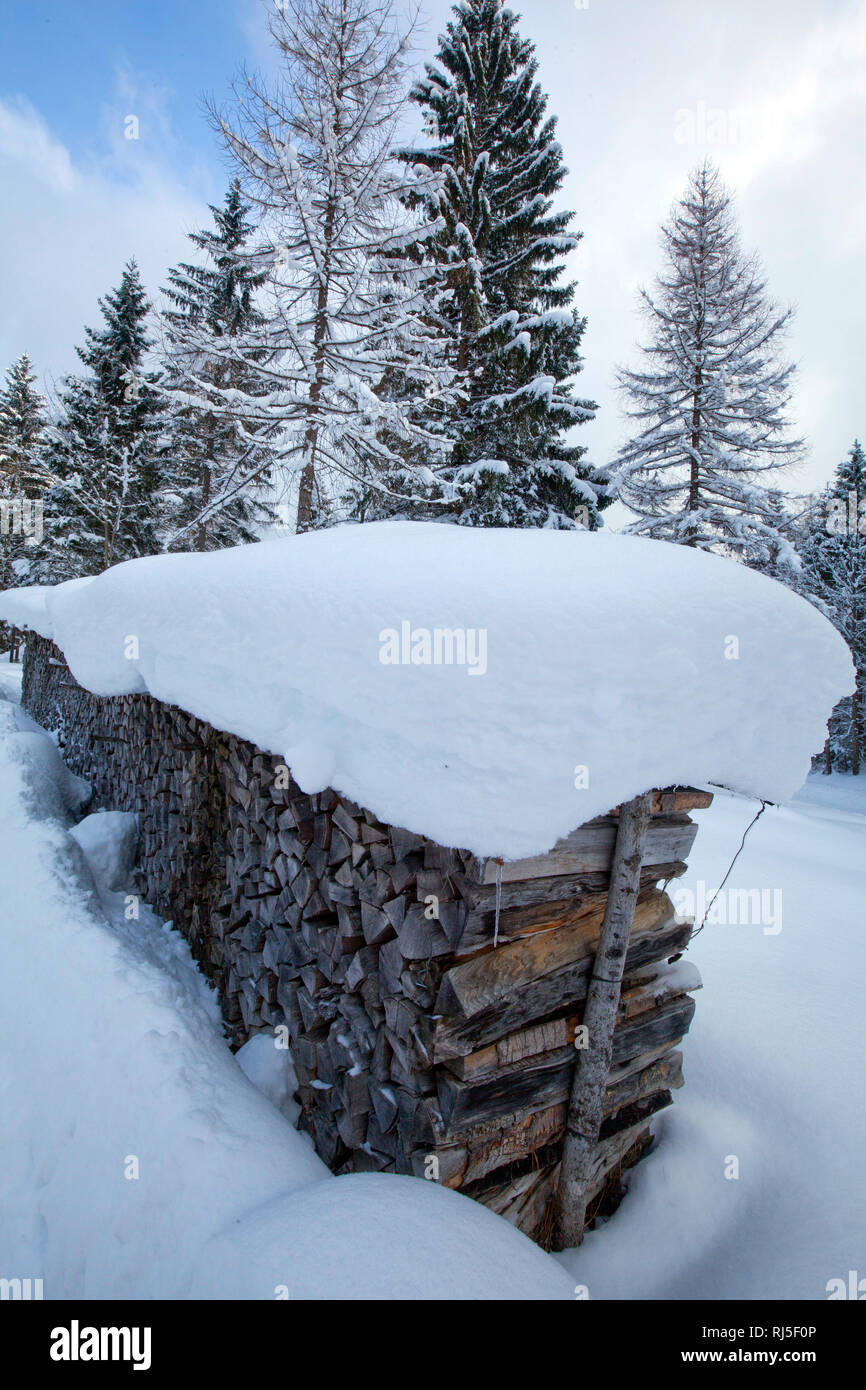 Schneedecke auf mächtigem Holzstapel Stock Photo