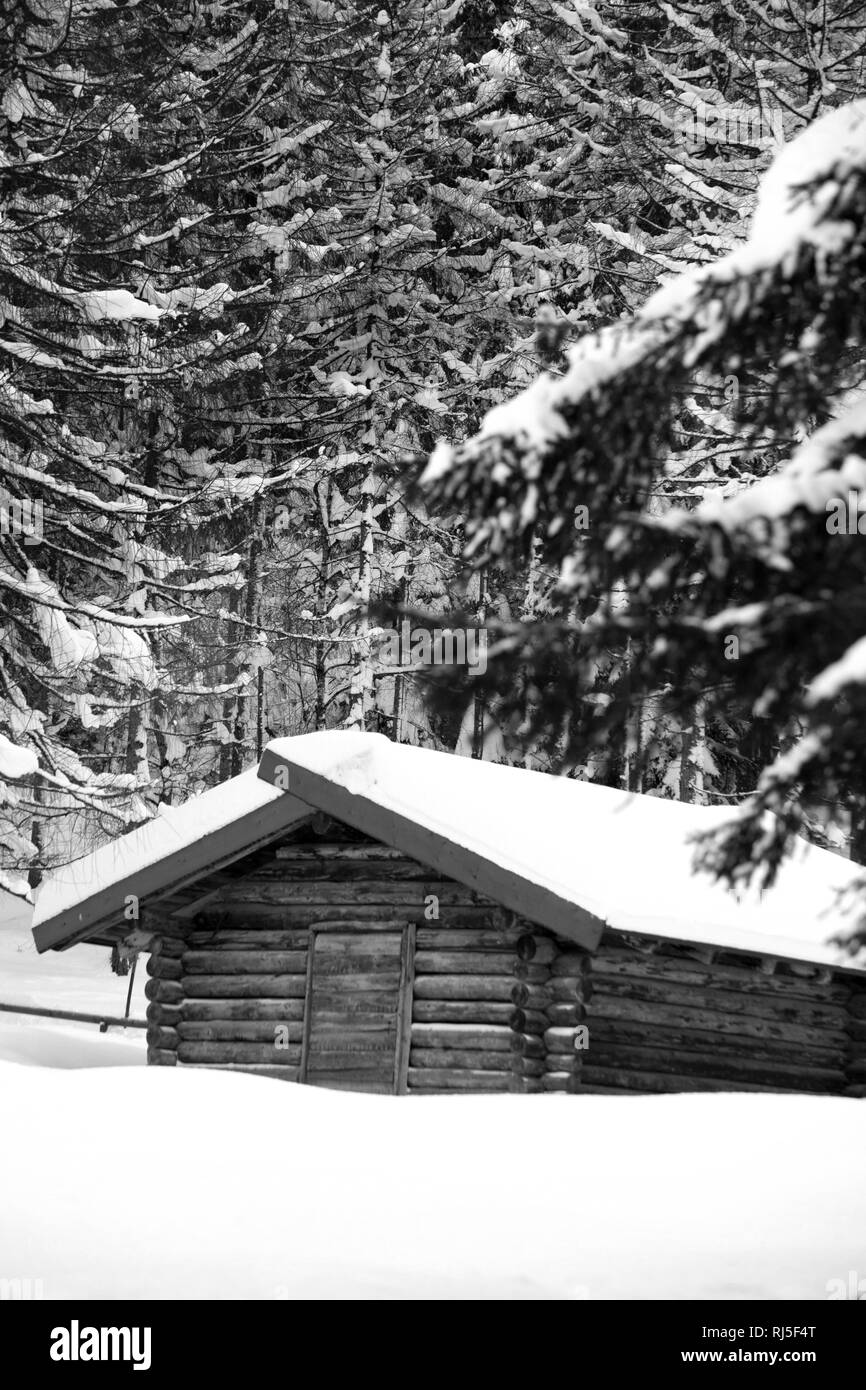 Heustadel im Winterversteckte Holzhütte im Winterwald Stock Photo