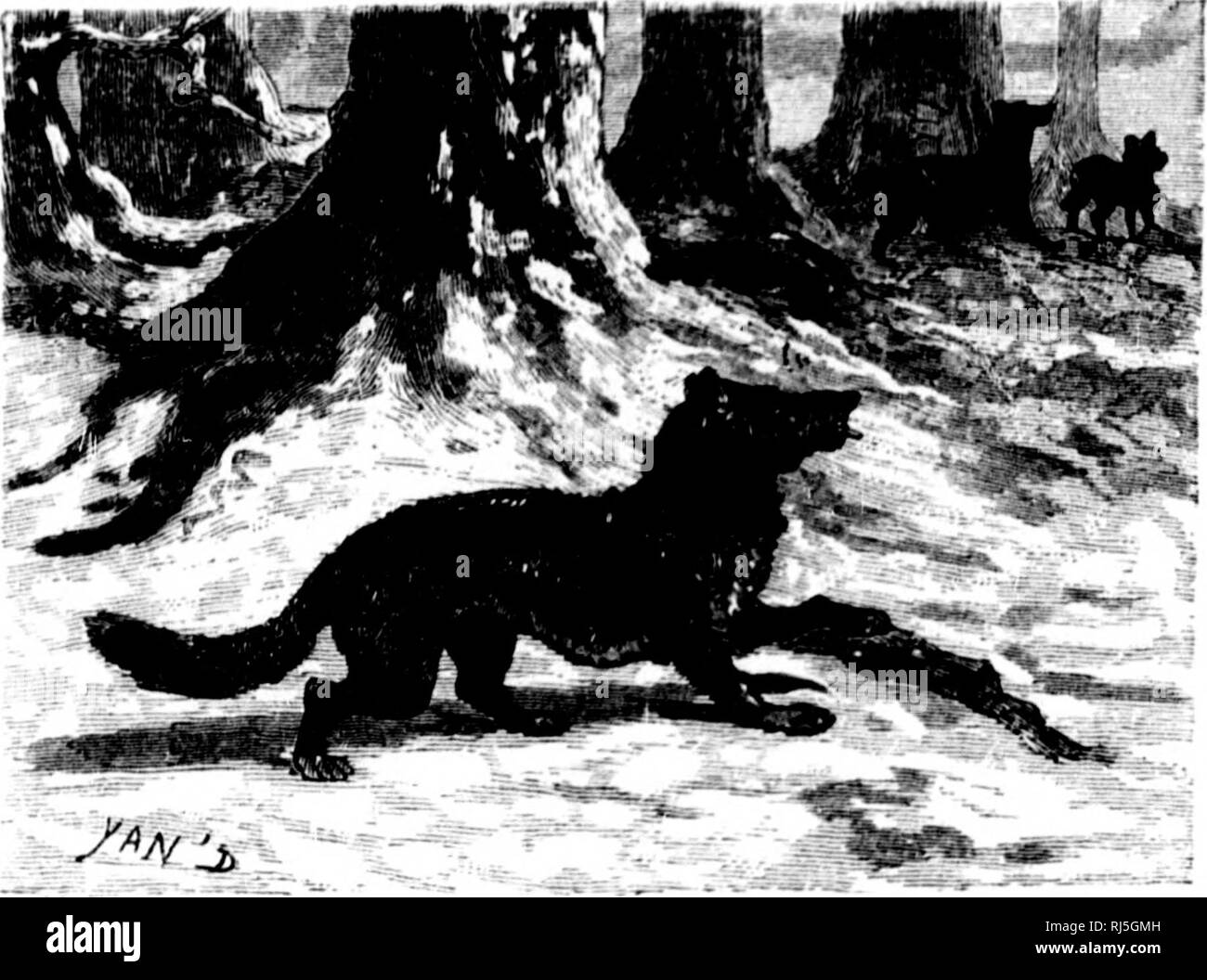 endroit rencontre nord