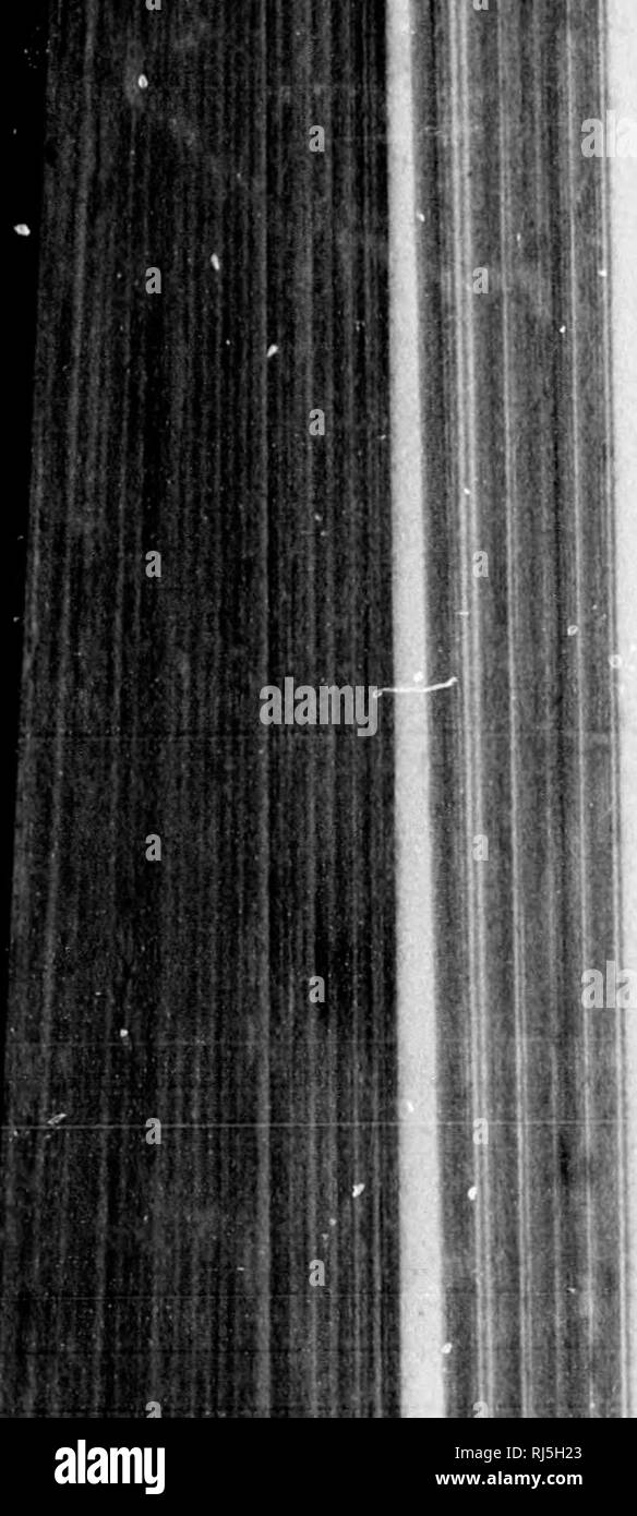 Download Grohman High Resolution Stock Photography And Images Alamy