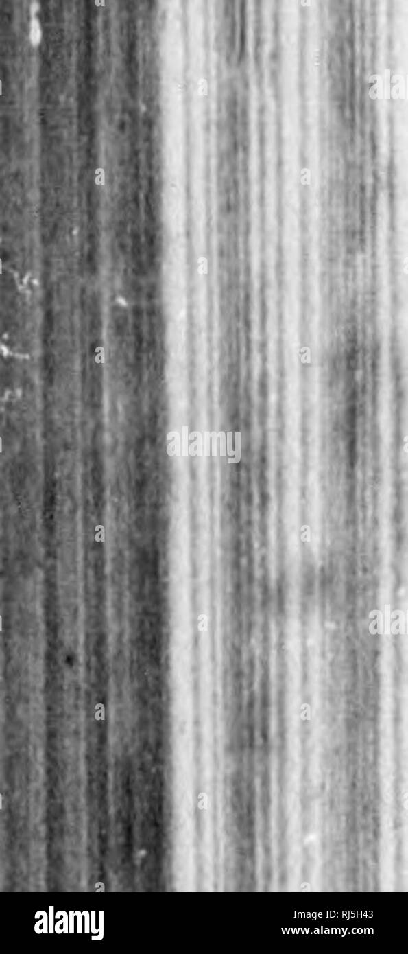 Download Grohman High Resolution Stock Photography And Images Alamy