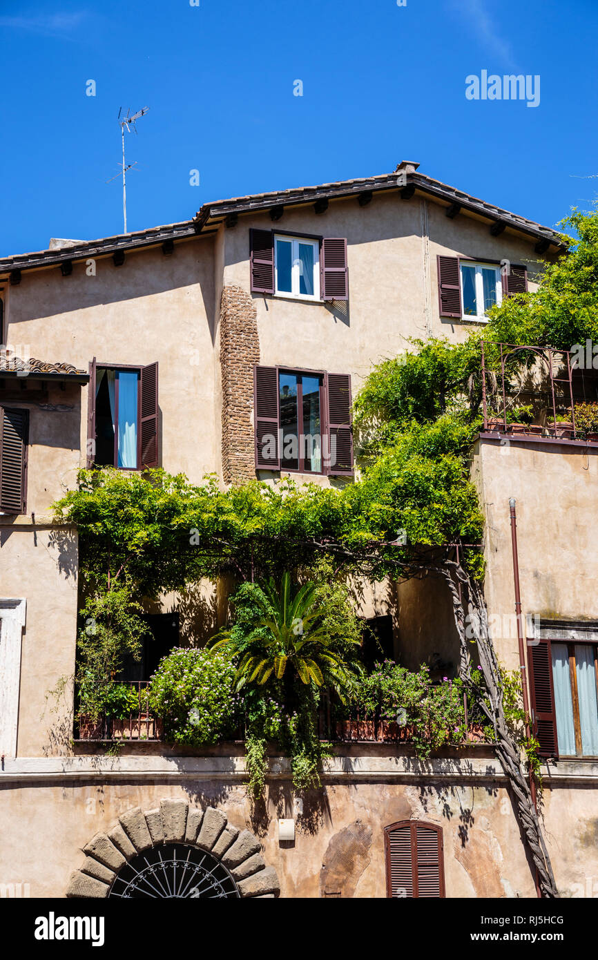 Europa, Italien, Latium, Rom, Üppig bewachsener Balkon eines Stadthauses in Rom Stock Photo