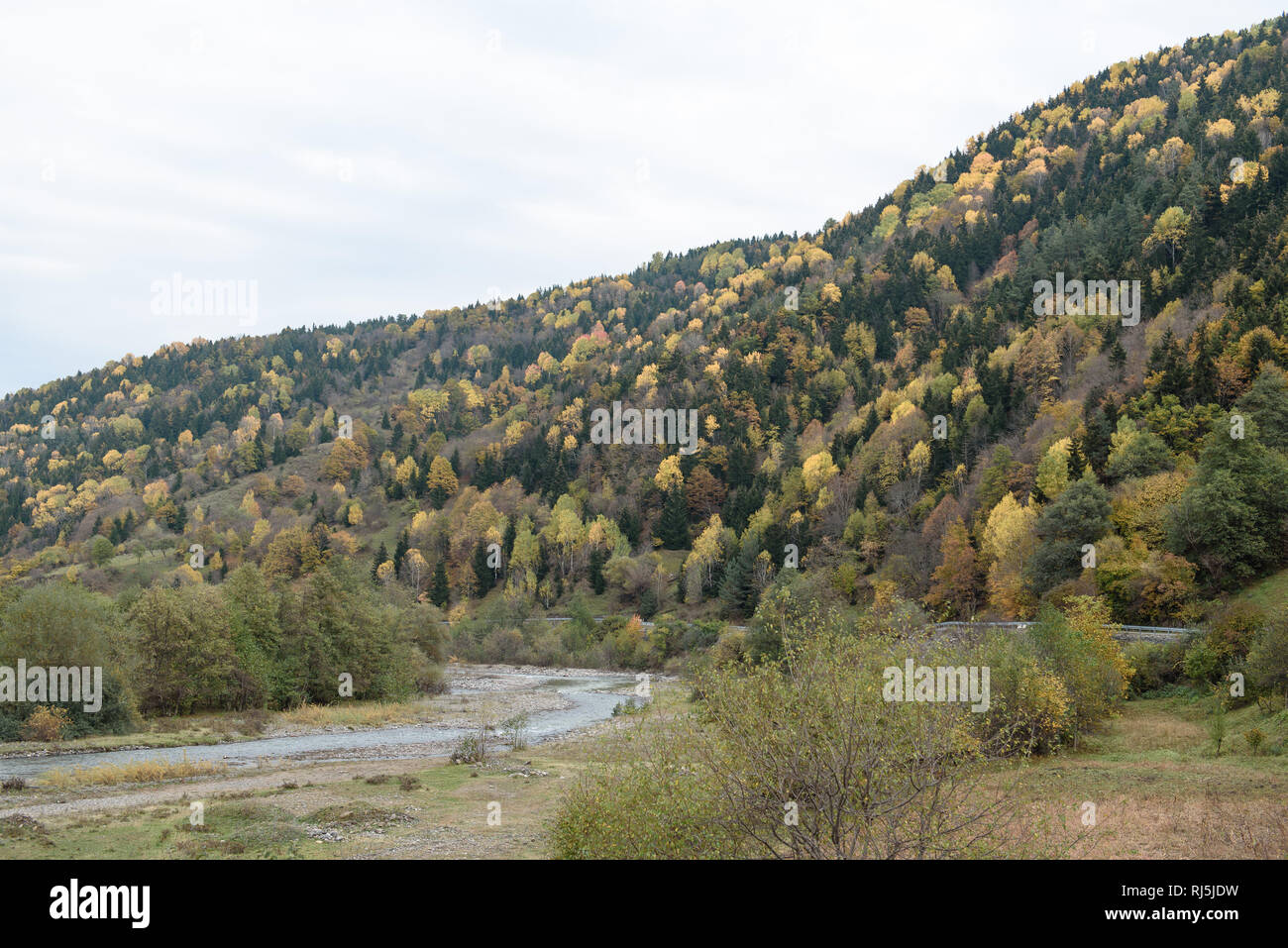 Herbstliche Farben in Georgien, Oktober 2016 Stock Photo