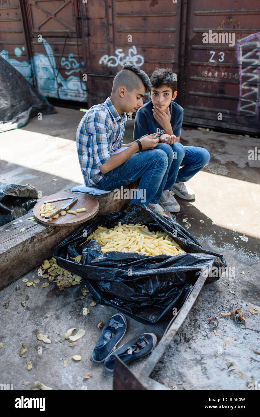 Diese Jungs schneiden Pommer aus den Kartoffeln. Flüchtlingscamp von Idomeni in Griechenland an der Grenze nach Mazedonien, April 2016. Stock Photo