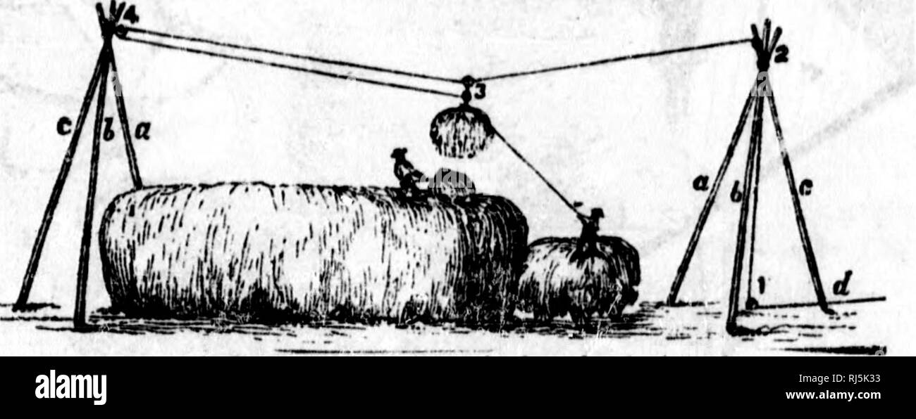 . Une leÃ§on d'agriculture [microforme] : causeries agricoles. Agriculture; Agriculture. ^   '&quot;h CAir^t.RiK AGKrcor.K. retourner j)liHiours fois le rÂ»ir, 1! c^t arric souvent 'ju'au moyen de cet in-.Miiin^.nt, on a pu taire &gt;Llier et cn;;rmj^er en bon Ã©t.it, des .juaiitiiÃ©s de loin qui, autre nient, ;ii!,*aiknt Ã©tÃ© coinpio-cniciU ;^Ã et-s. Ce&gt; faneuses jK'uvent nnÂ«jurncr tn s arp'ius fie tniii pnr heure, et font leur travail bien inieix que ne le ferait Ir faneur le plus exercÃ© ; elles seraient donc d une Â«grande utiUlc i)nur tou-i leÂ» cultivateur^ qui foiit beau- coup d Stock Photo