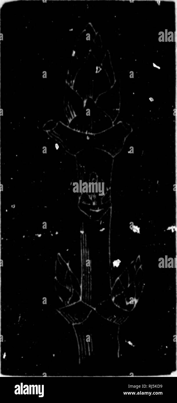 page 6 dits high resolution stock photography and images alamy