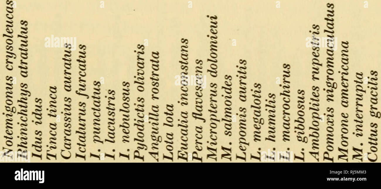 Page 10 Bs As T High Resolution Stock Photography And Images Alamy